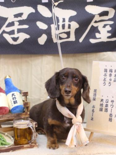 20240630ミロくん